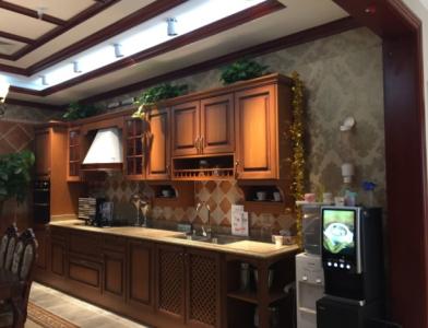 機(jī)門(mén)一體式不銹鋼閘門(mén)